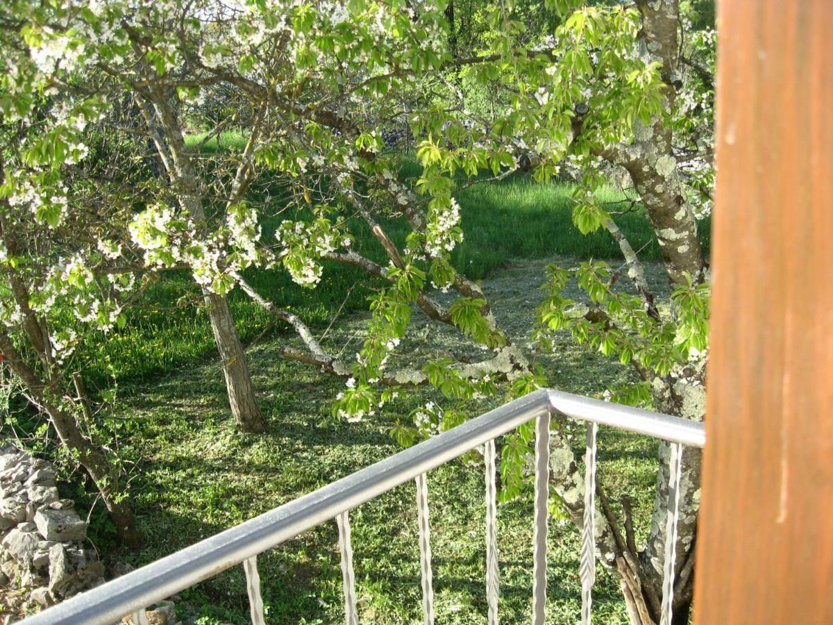 Appartement Antonia & Arian à Roč Extérieur photo
